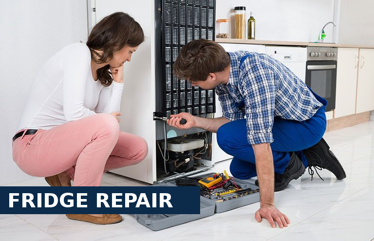 Fridge Repair South Croydon
